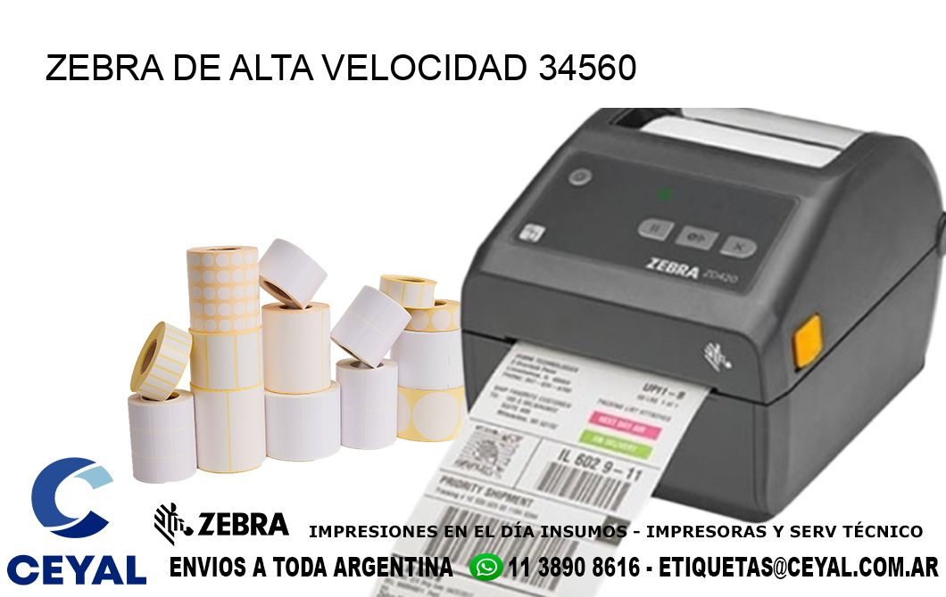 ZEBRA DE ALTA VELOCIDAD 34560