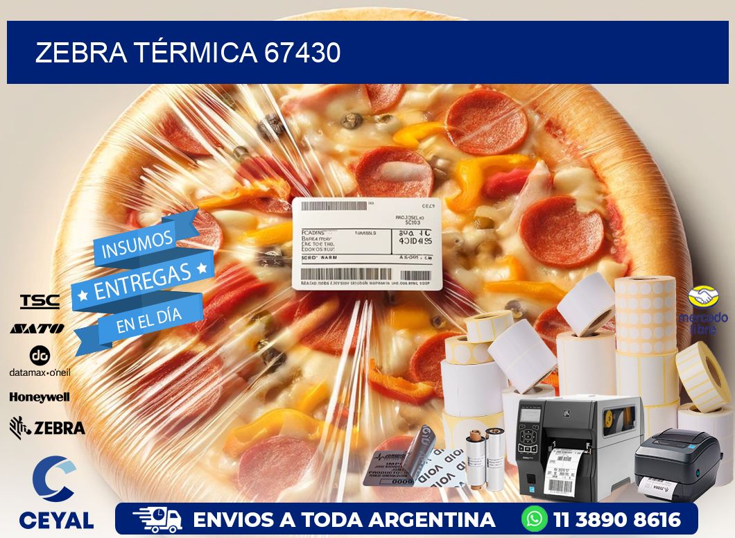 ZEBRA TÉRMICA 67430