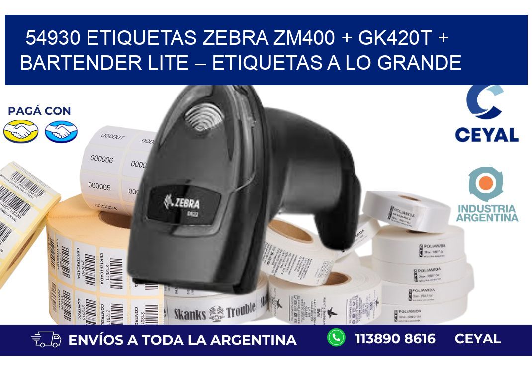 54930 ETIQUETAS Zebra ZM400 + GK420T + BarTender Lite – Etiquetas a lo grande