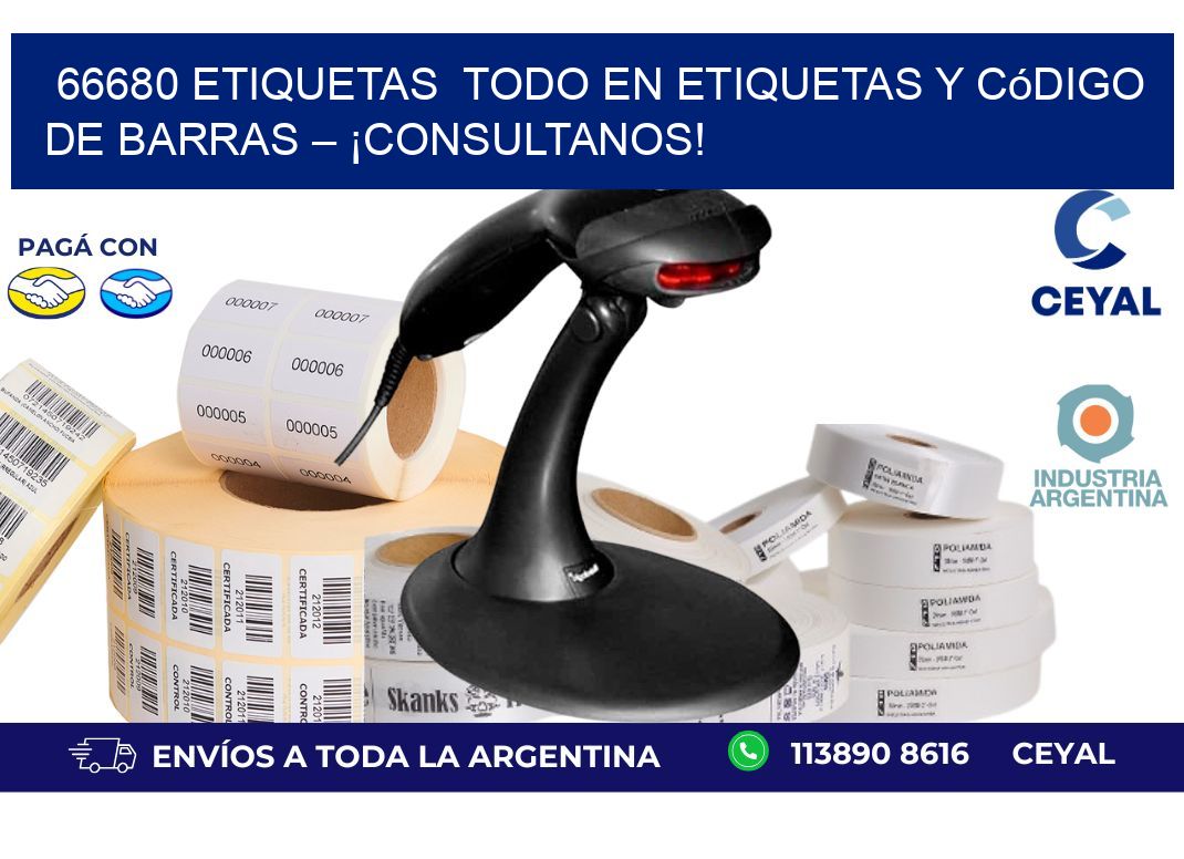 66680 etiquetas  Todo en Etiquetas y Código de Barras – ¡Consultanos!