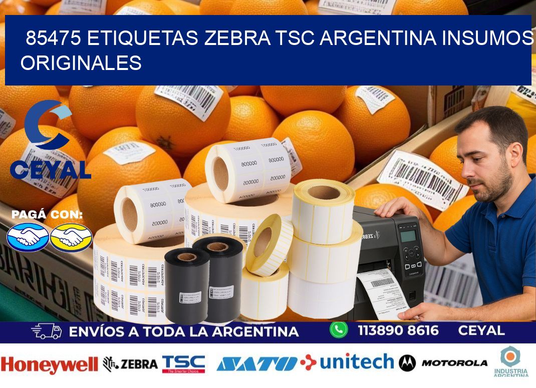85475 etiquetas zebra tsc argentina INSUMOS ORIGINALES