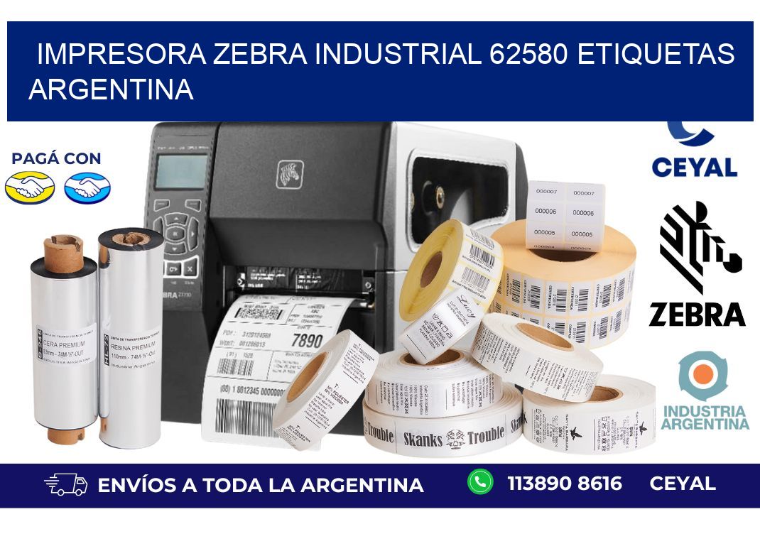 Impresora zebra industrial 62580 etiquetas argentina