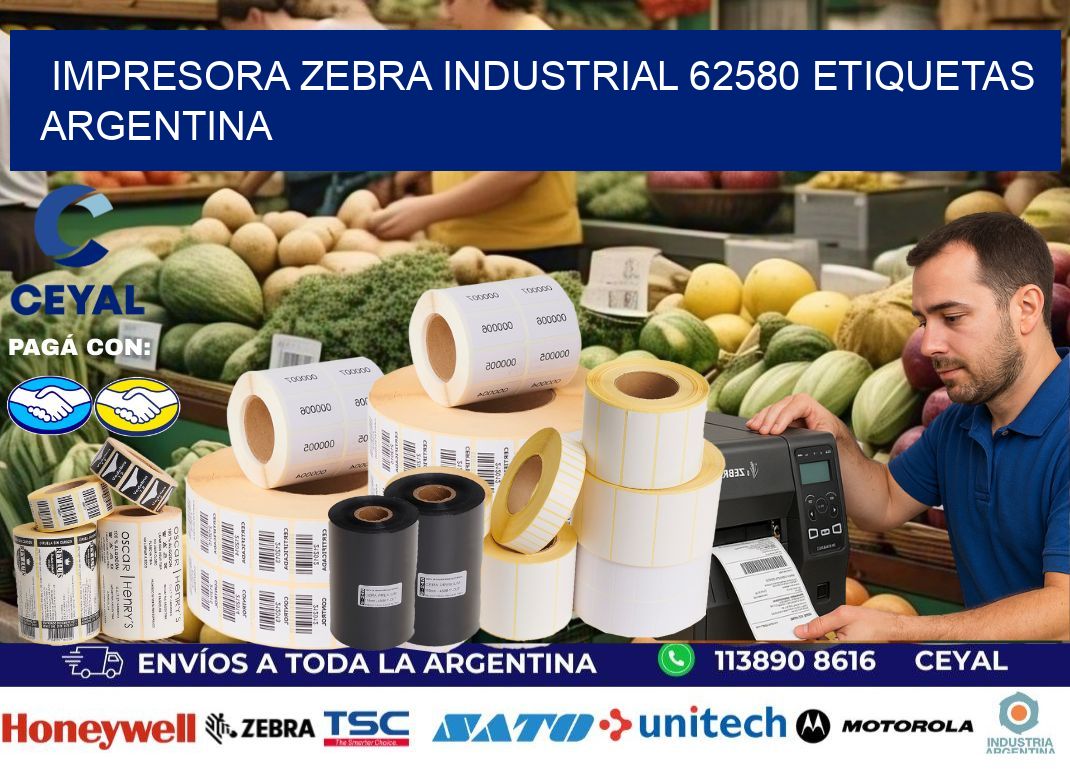Impresora zebra industrial 62580 etiquetas argentina