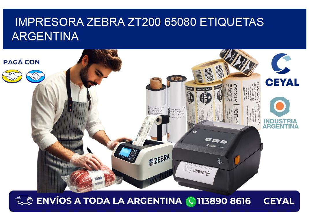 Impresora zebra zt200 65080 etiquetas argentina