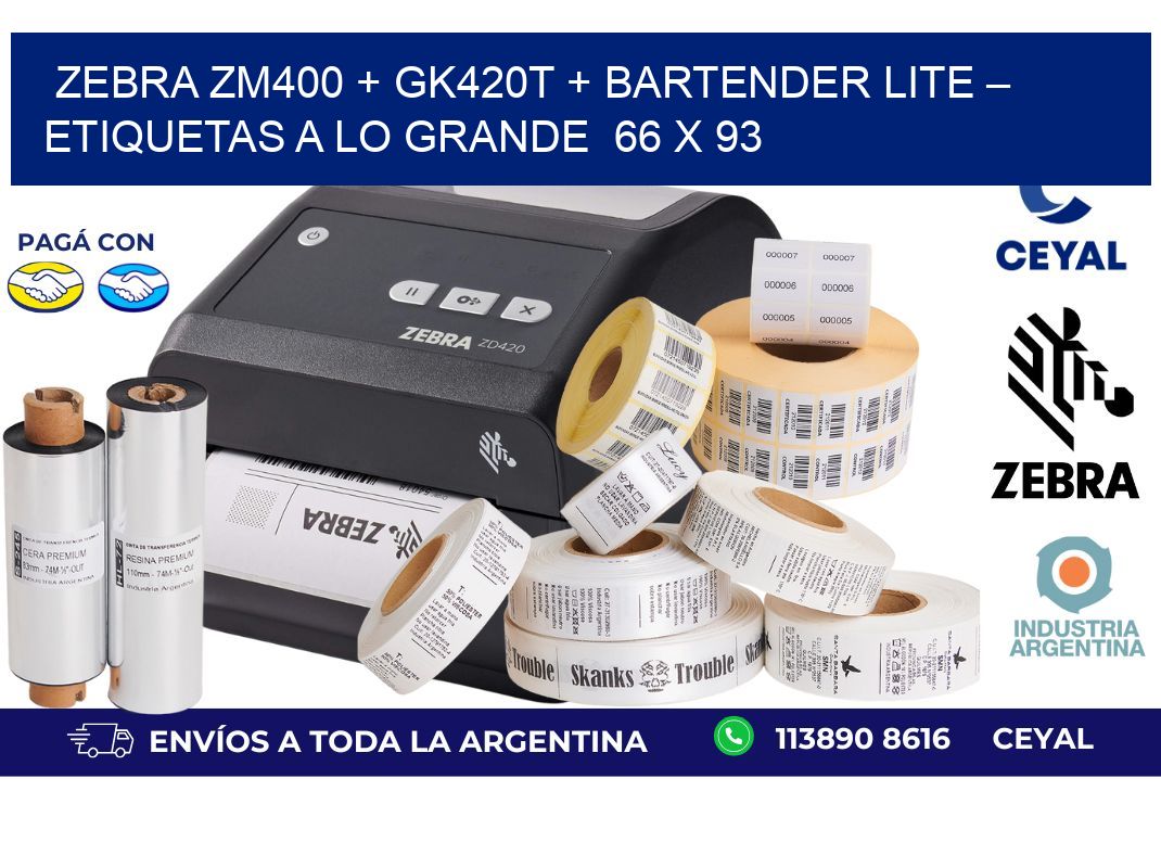 Zebra ZM400 + GK420T + BarTender Lite – Etiquetas a lo grande  66 x 93