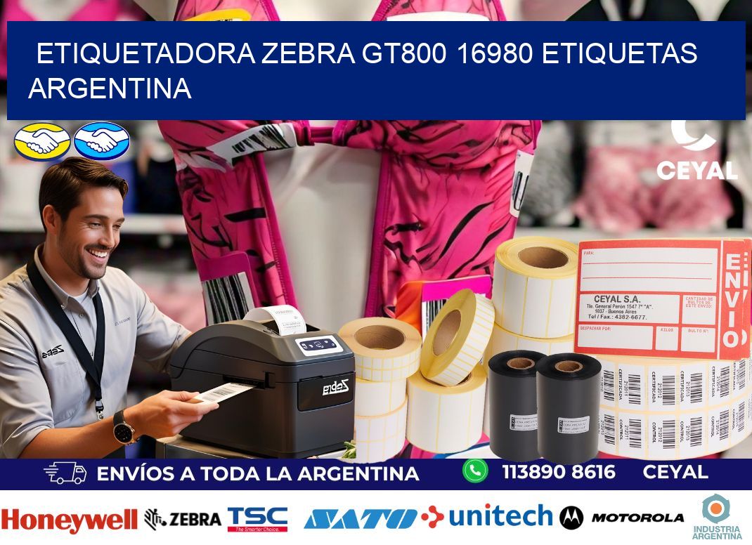 etiquetadora zebra gt800 16980 etiquetas argentina
