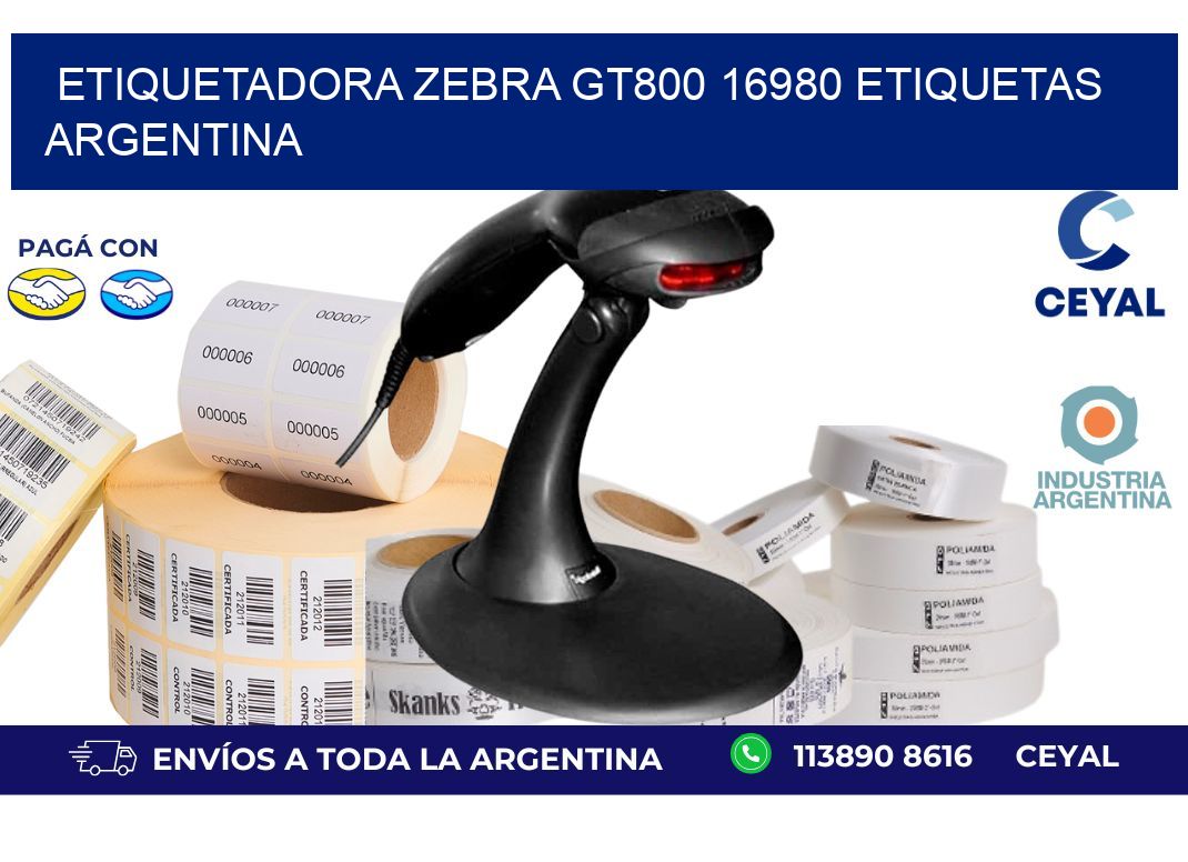 etiquetadora zebra gt800 16980 etiquetas argentina