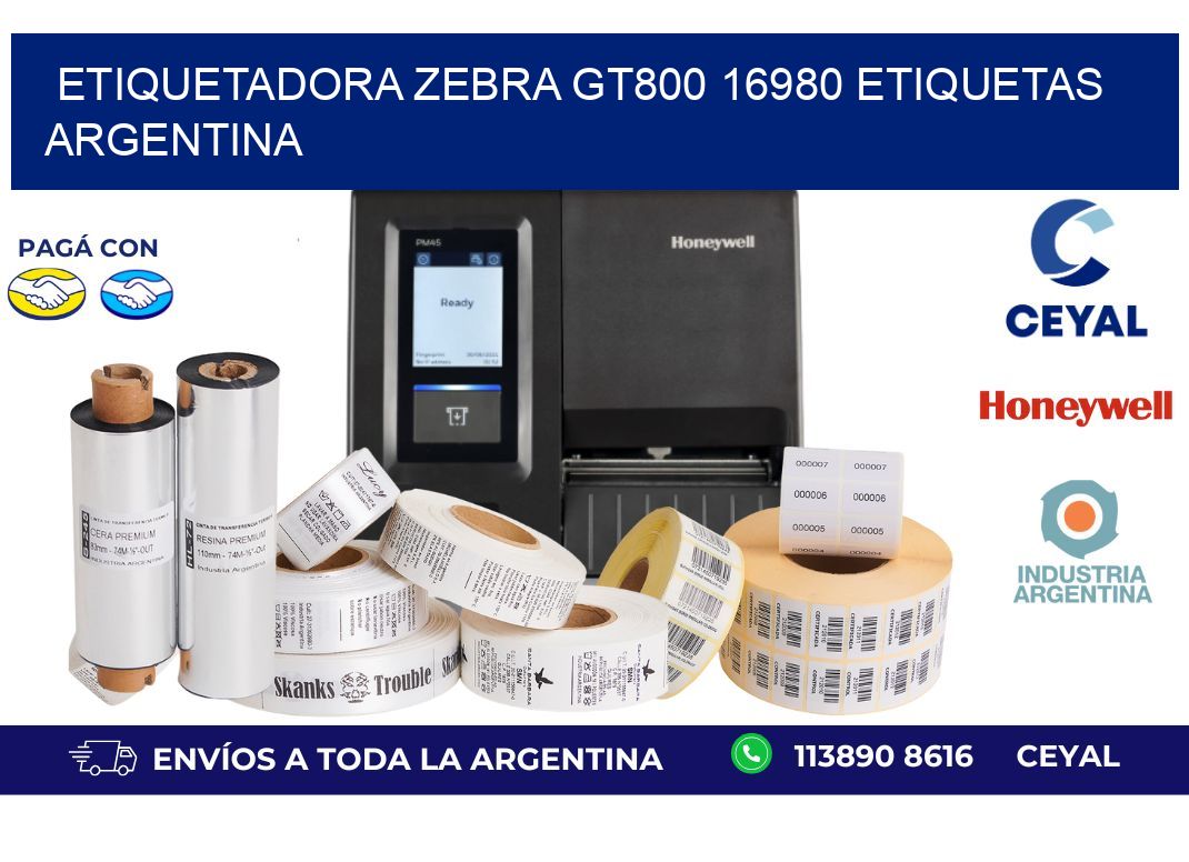 etiquetadora zebra gt800 16980 etiquetas argentina