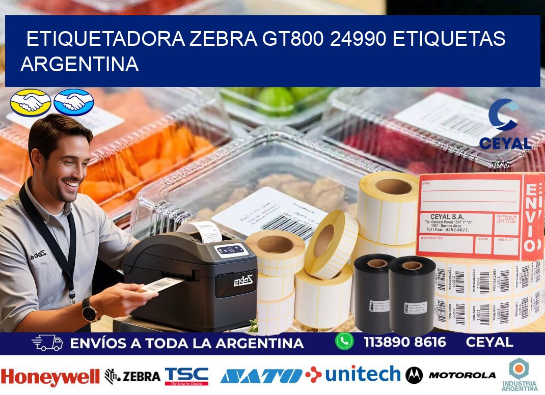 etiquetadora zebra gt800 24990 etiquetas argentina