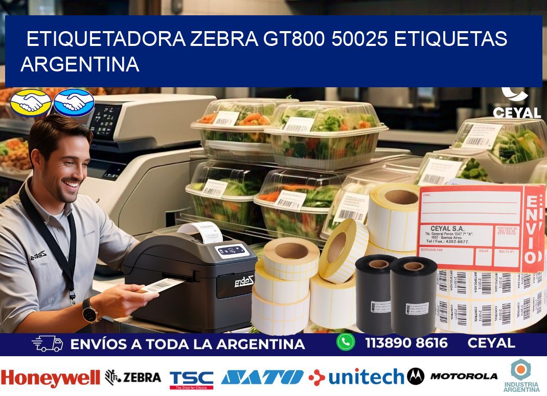etiquetadora zebra gt800 50025 etiquetas argentina