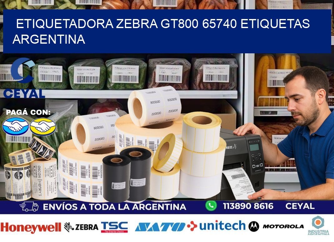 etiquetadora zebra gt800 65740 etiquetas argentina