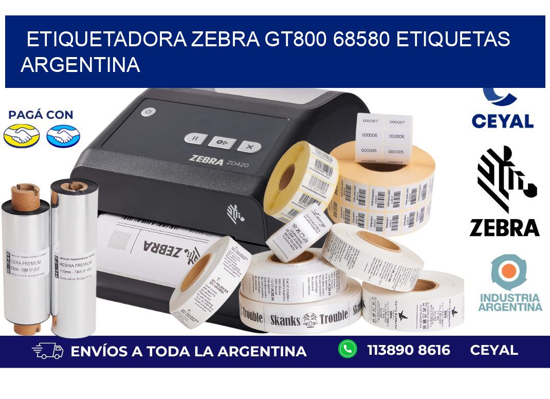 etiquetadora zebra gt800 68580 etiquetas argentina