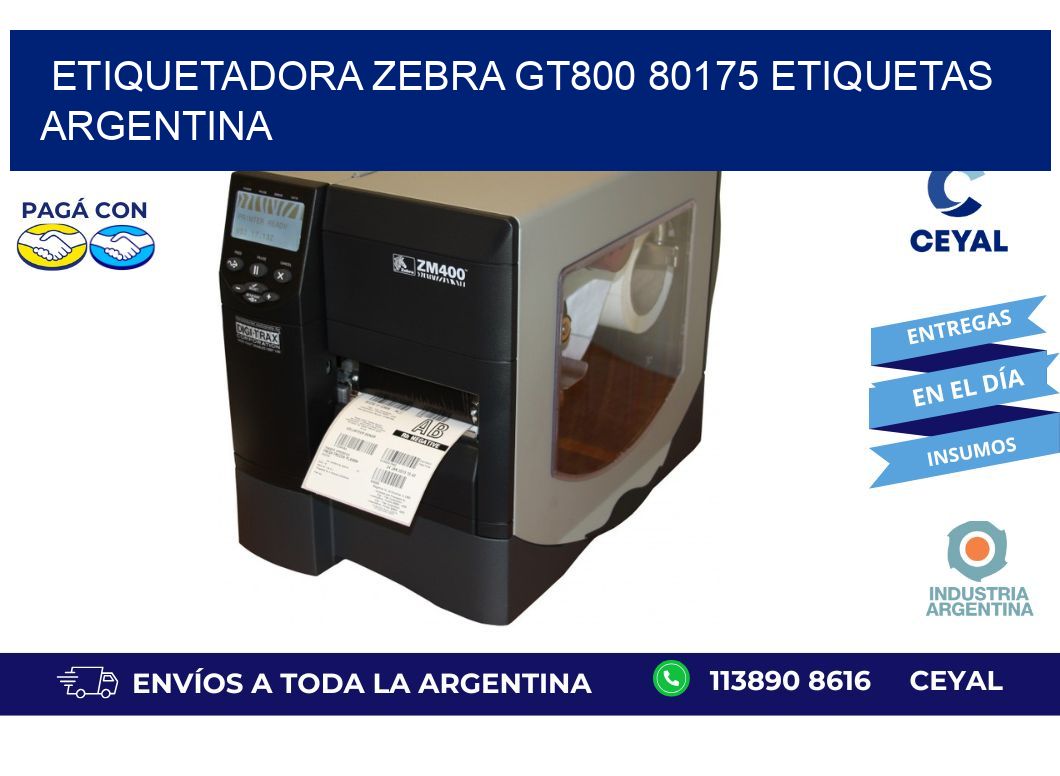 etiquetadora zebra gt800 80175 etiquetas argentina