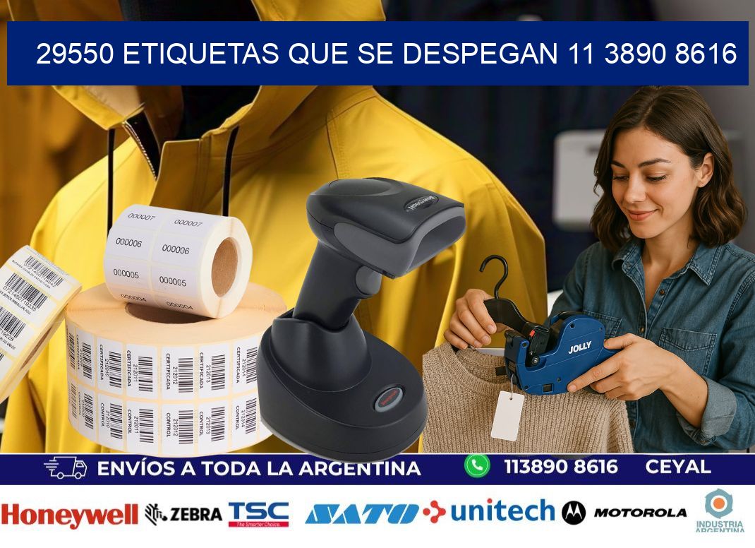 29550 ETIQUETAS QUE SE DESPEGAN 11 3890 8616