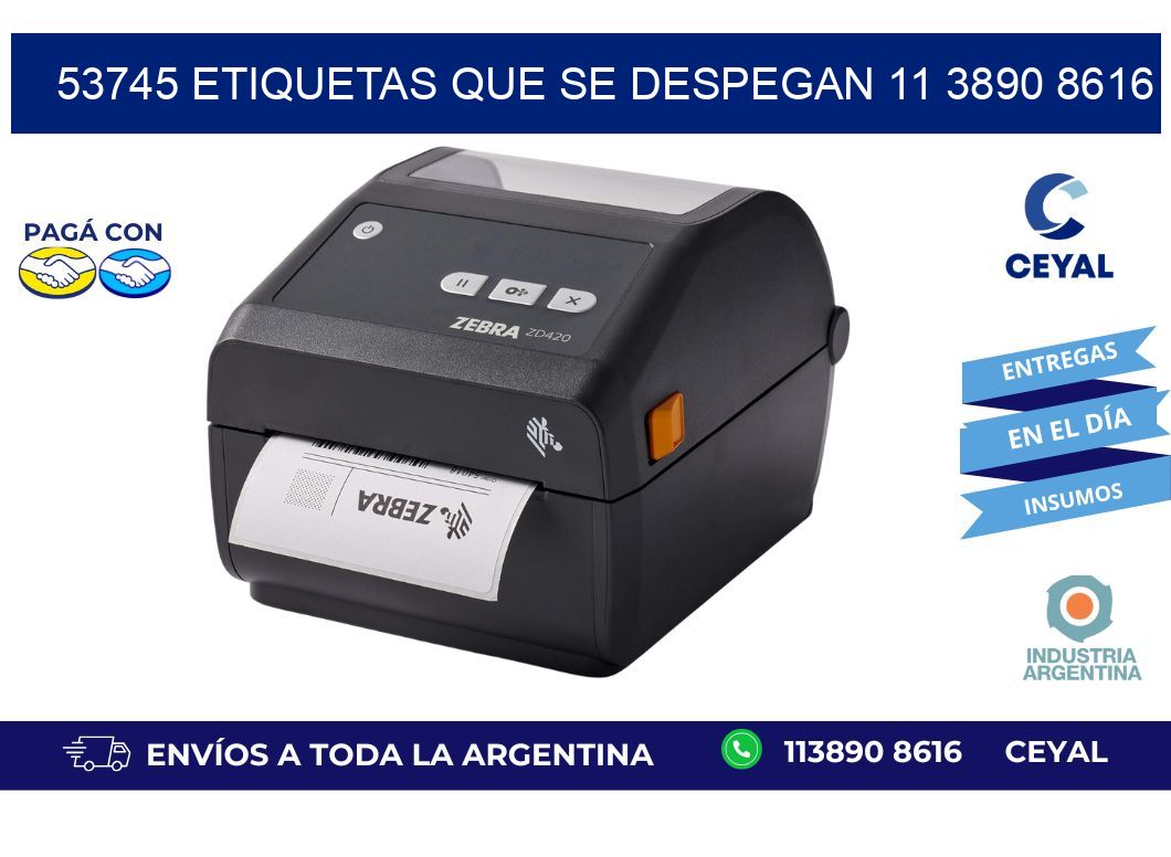 53745 ETIQUETAS QUE SE DESPEGAN 11 3890 8616