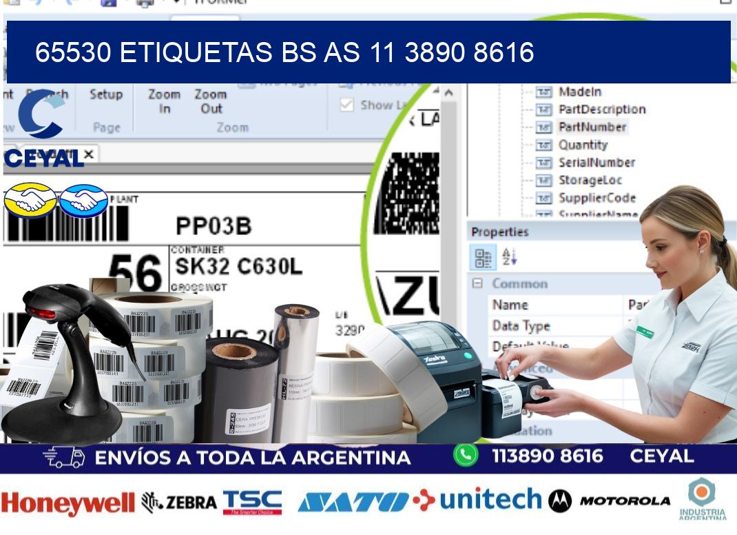 65530 ETIQUETAS BS AS 11 3890 8616