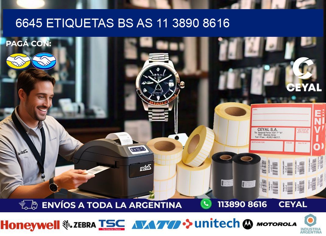 6645 ETIQUETAS BS AS 11 3890 8616