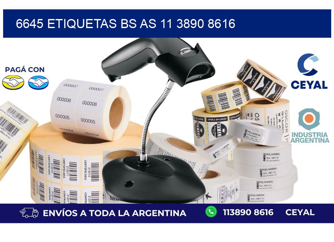 6645 ETIQUETAS BS AS 11 3890 8616