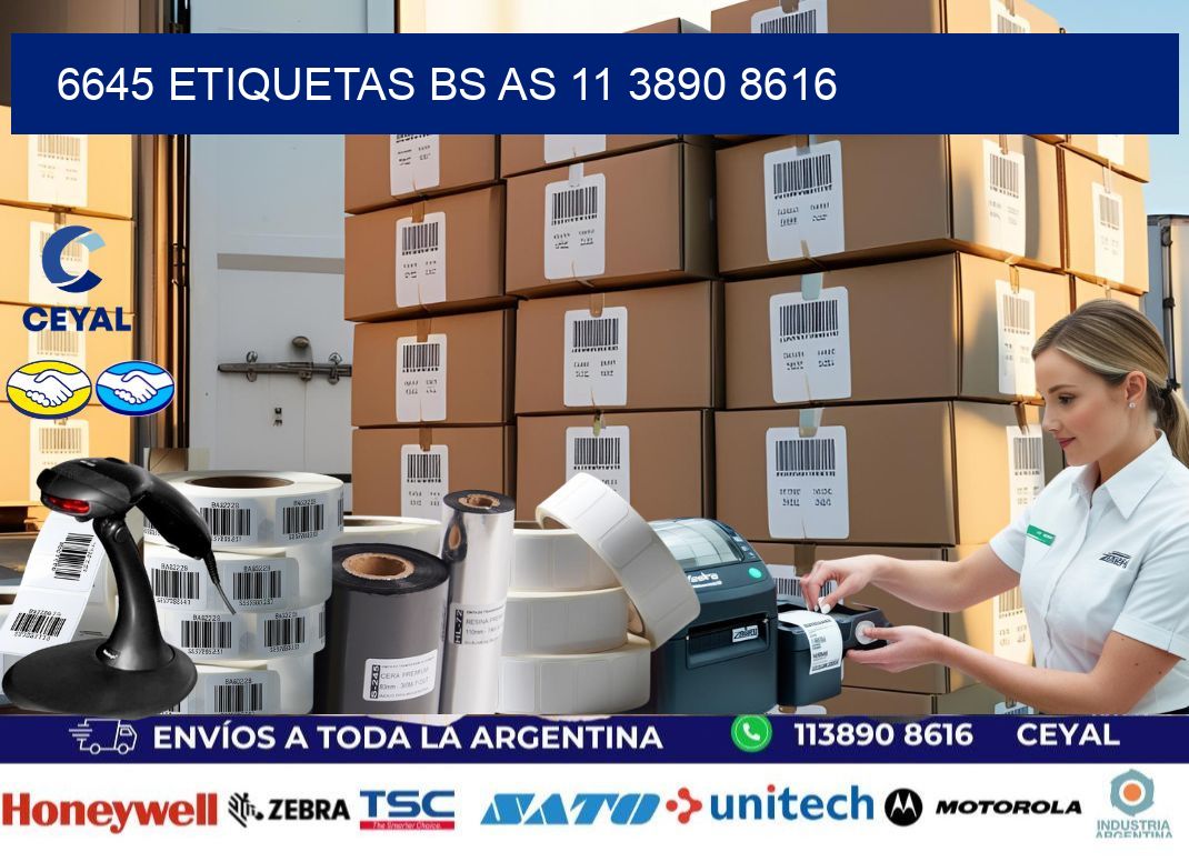 6645 ETIQUETAS BS AS 11 3890 8616