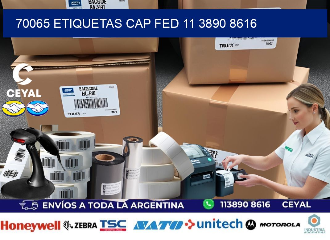 70065 ETIQUETAS CAP FED 11 3890 8616
