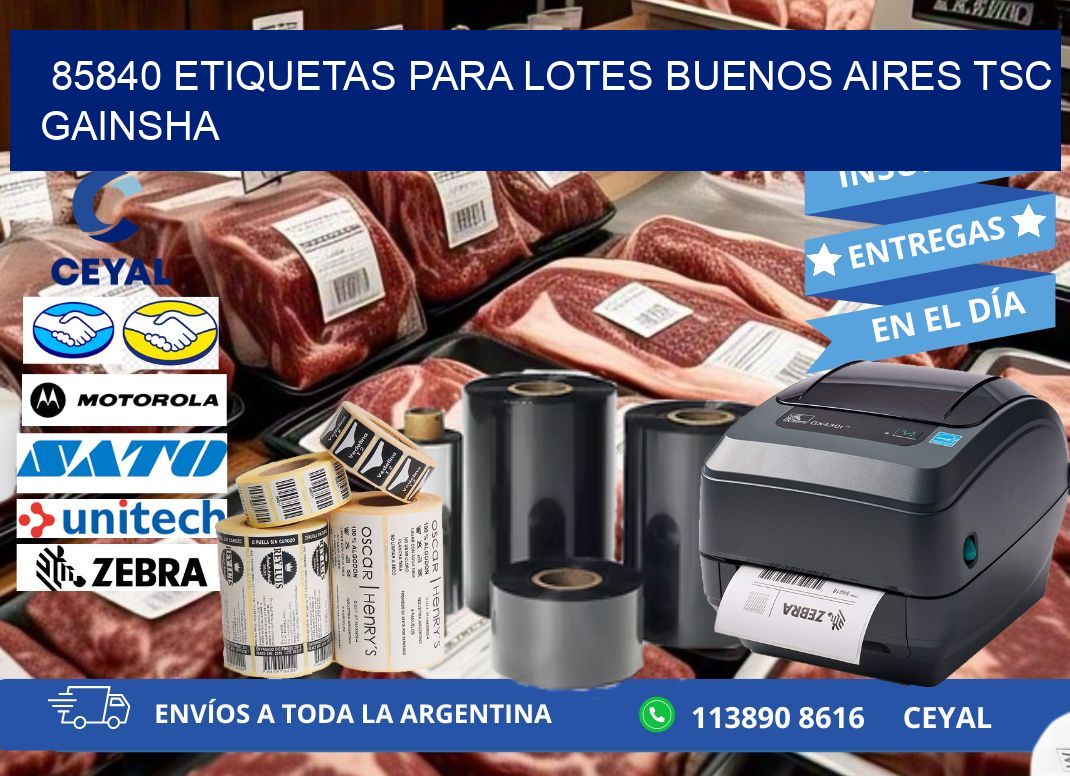 85840 ETIQUETAS PARA LOTES BUENOS AIRES TSC GAINSHA