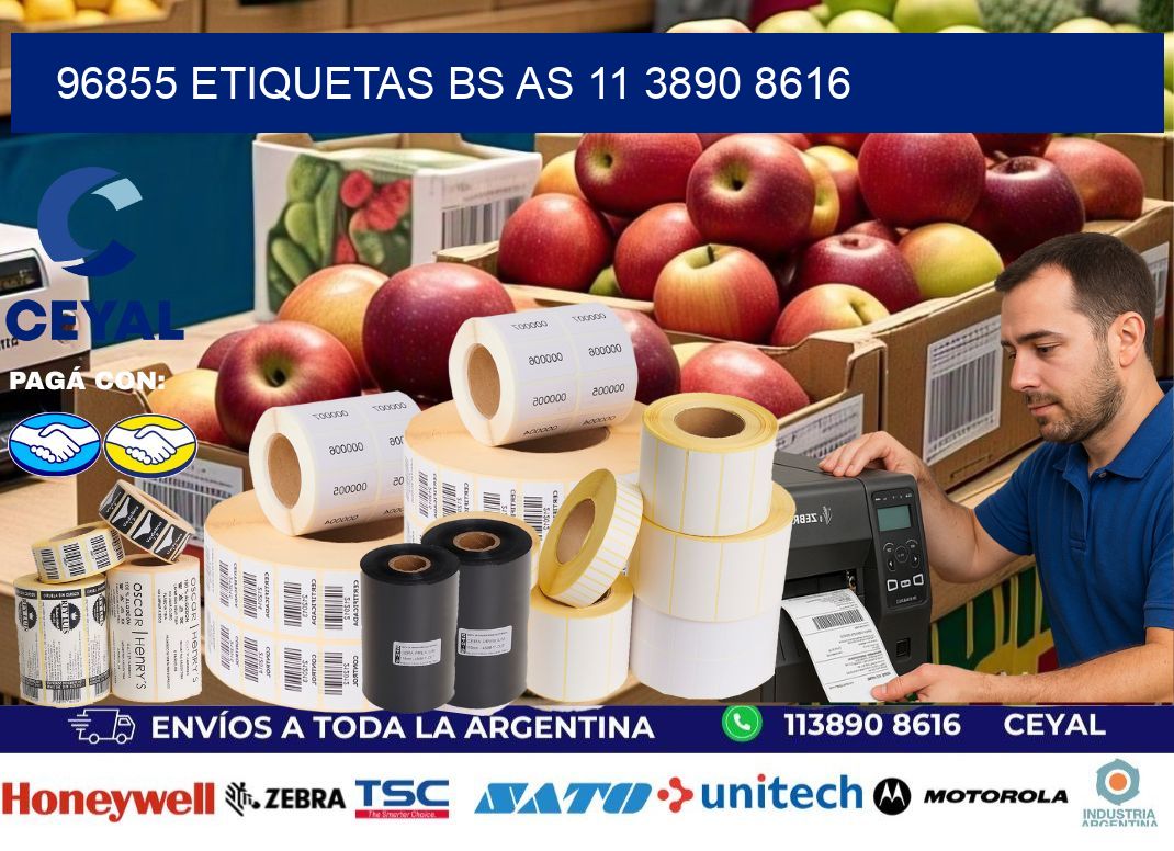 96855 ETIQUETAS BS AS 11 3890 8616