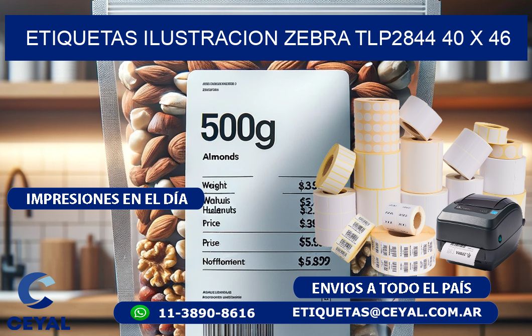 ETIQUETAS ILUSTRACION ZEBRA TLP2844 40 x 46