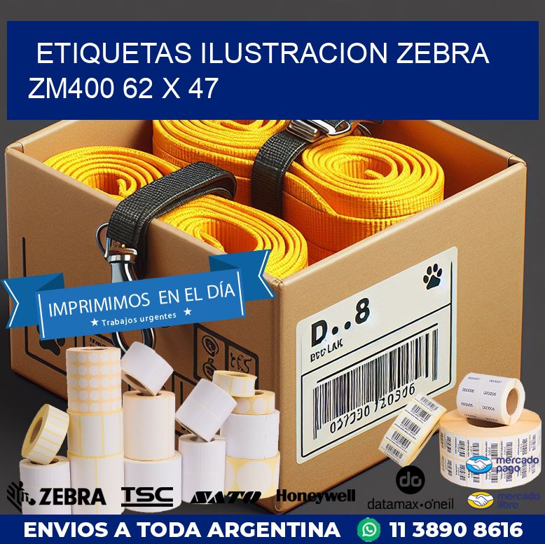 ETIQUETAS ILUSTRACION ZEBRA ZM400 62 x 47