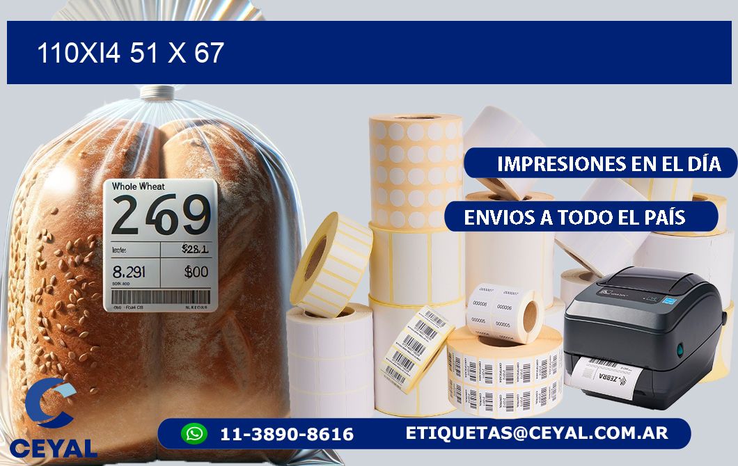 110Xi4 51 x 67