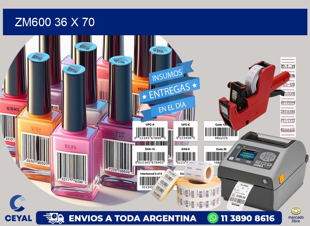 ZM600 36 x 70