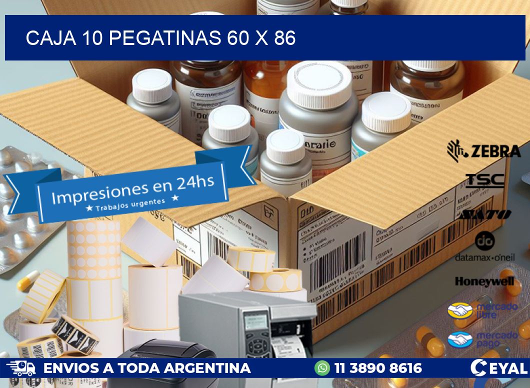 CAJA 10 PEGATINAS 60 x 86