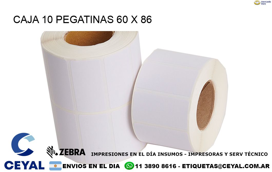 CAJA 10 PEGATINAS 60 x 86