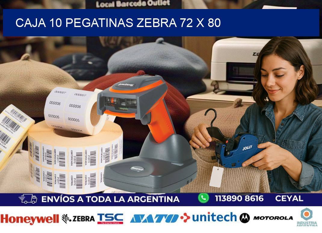 CAJA 10 PEGATINAS ZEBRA 72 x 80