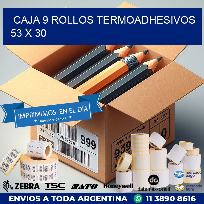 CAJA 9 ROLLOS TERMOADHESIVOS 53 x 30
