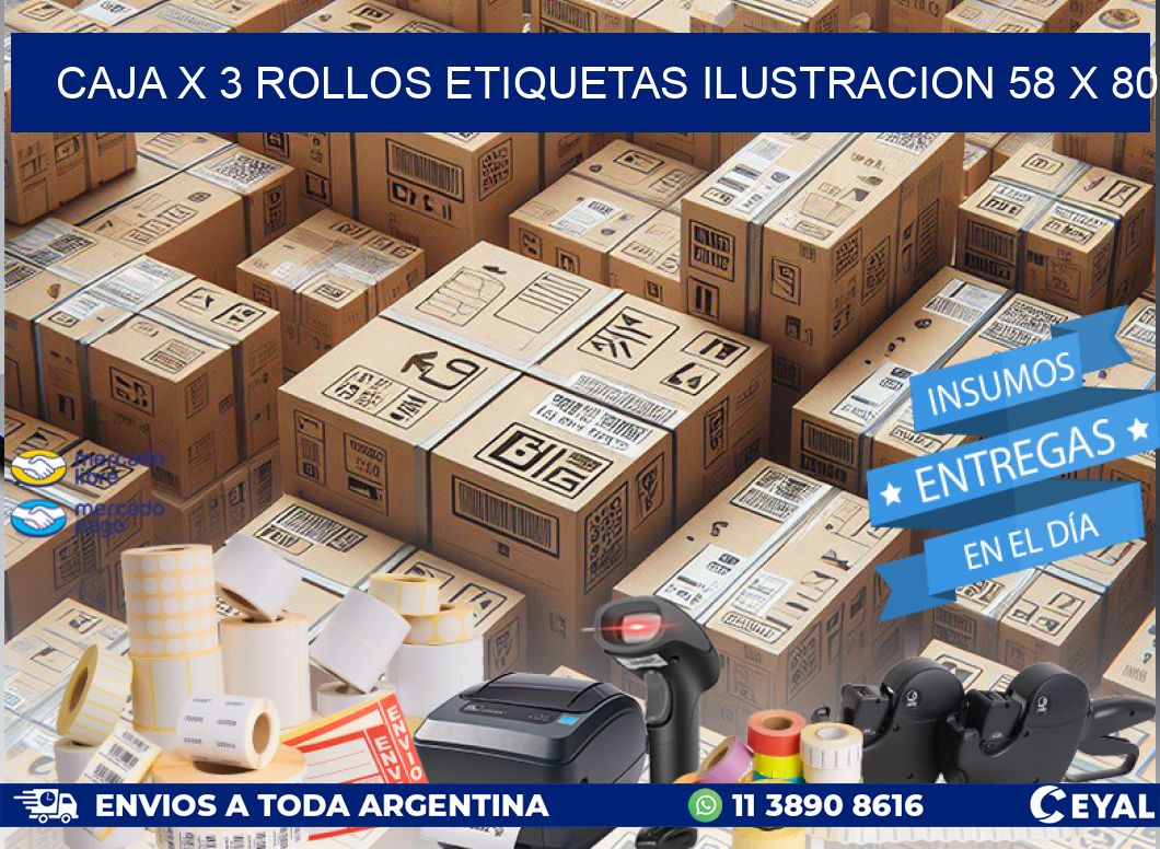 Caja X 3 Rollos Etiquetas Ilustracion 58 x 80