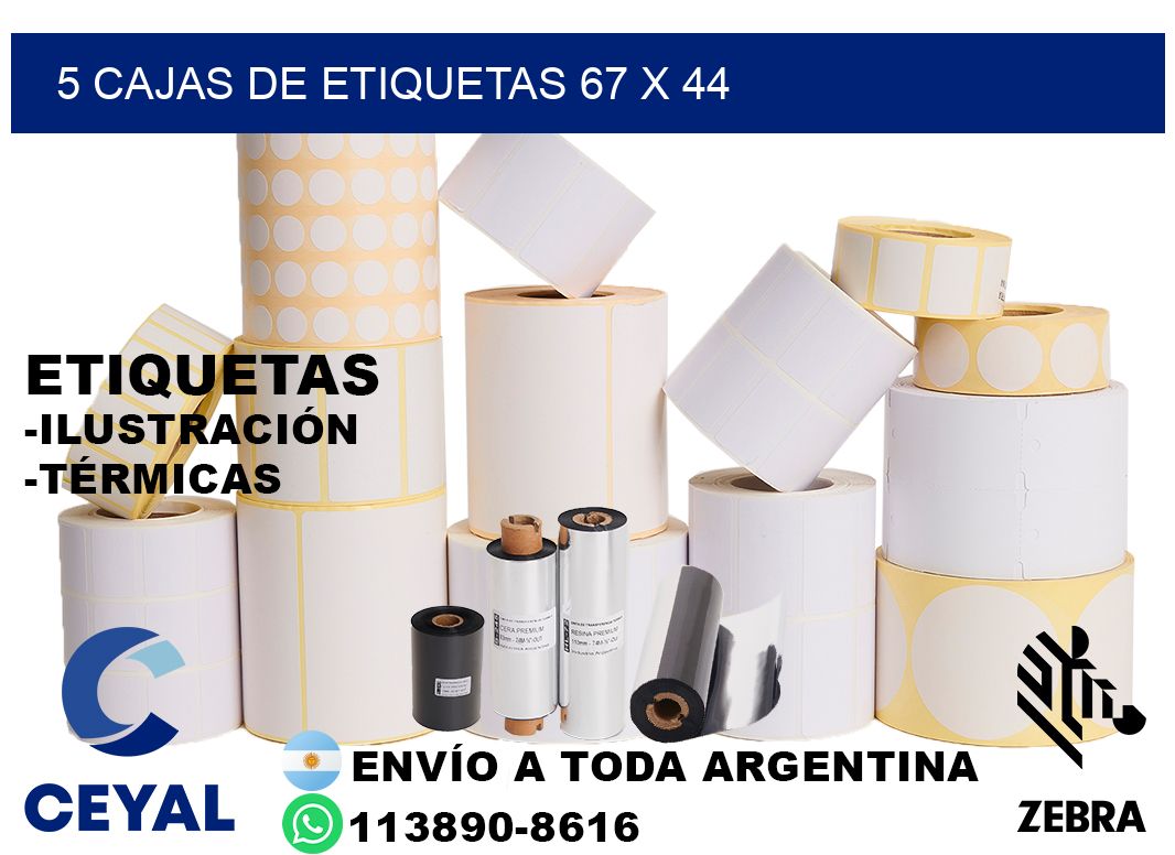 5 cajas de etiquetas 67 x 44