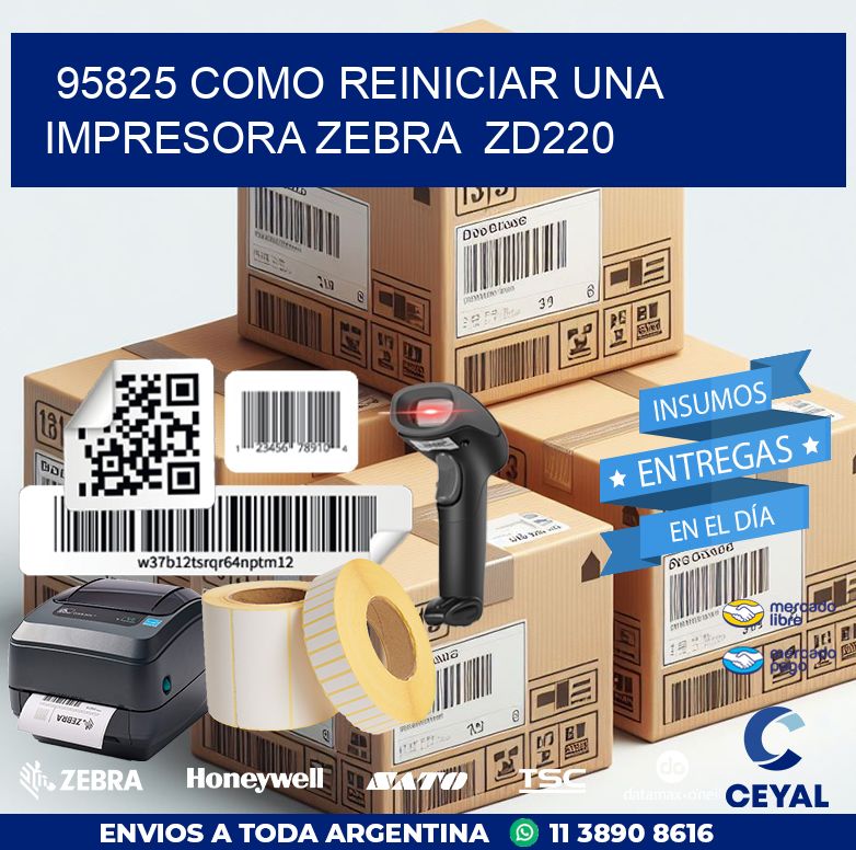 95825 Como reiniciar una impresora Zebra  ZD220