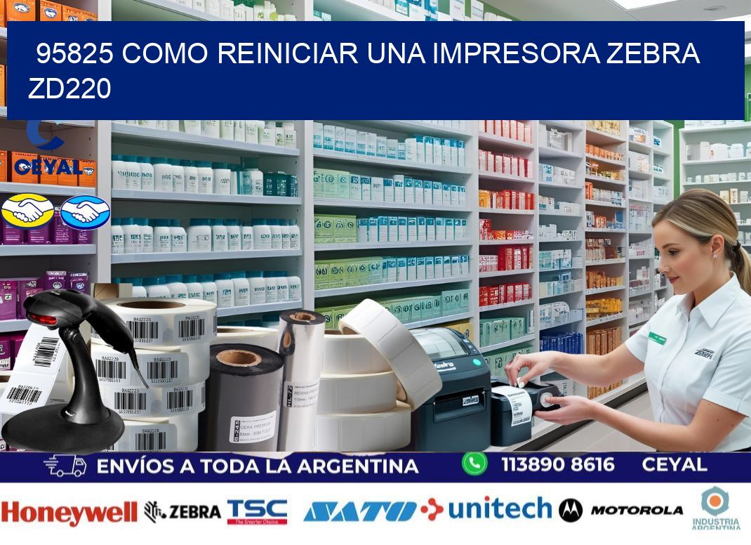 95825 Como reiniciar una impresora Zebra  ZD220
