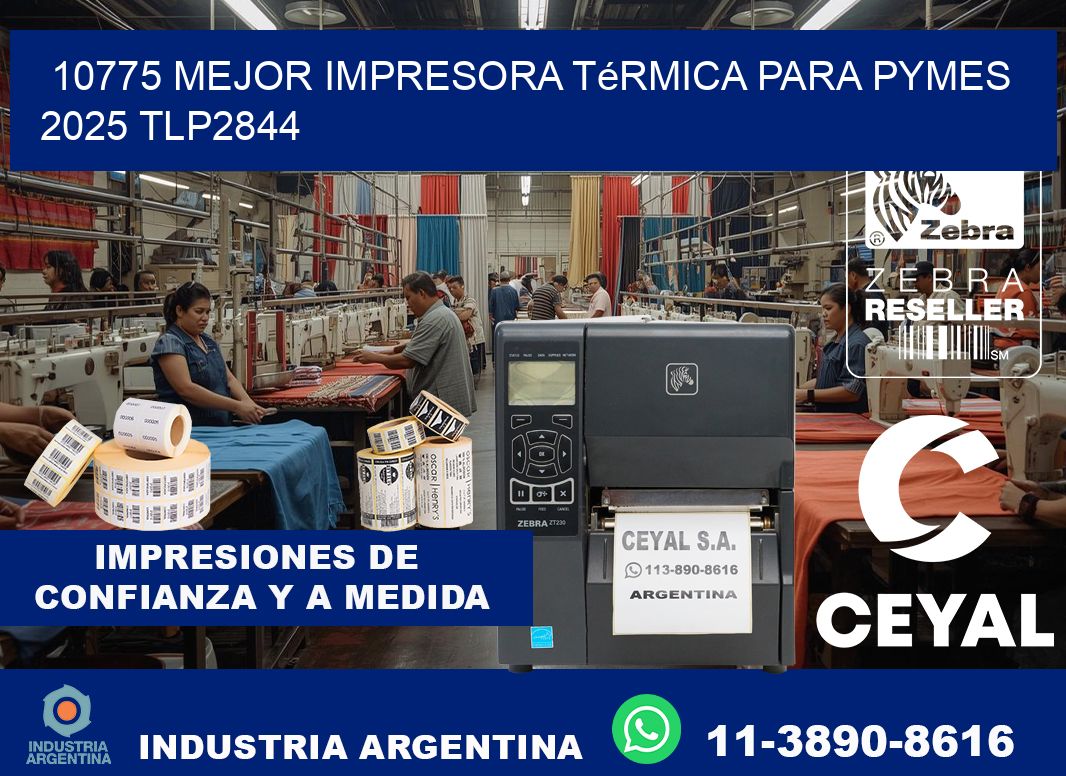 10775 mejor impresora térmica para pymes 2025 TLP2844
