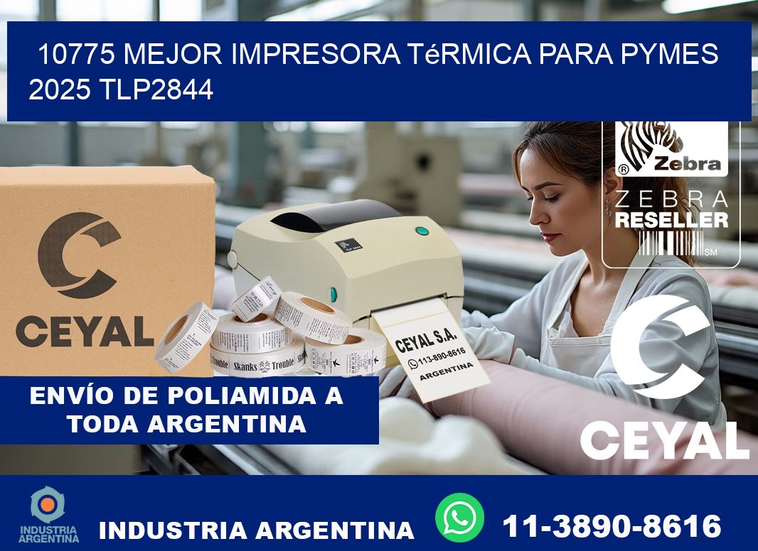 10775 mejor impresora térmica para pymes 2025 TLP2844