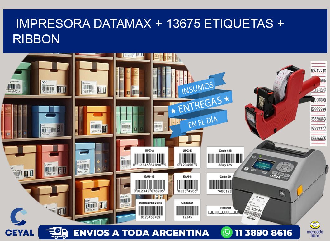 impresora DATAMAX + 13675 etiquetas + ribbon