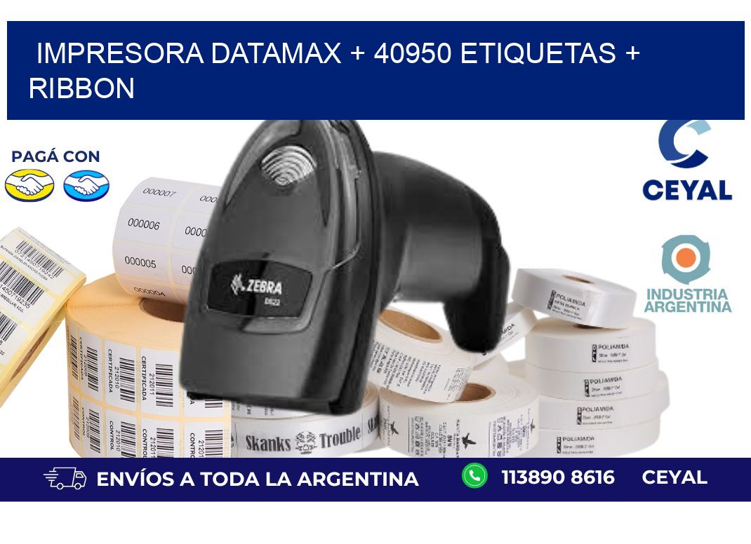 impresora DATAMAX + 40950 etiquetas + ribbon