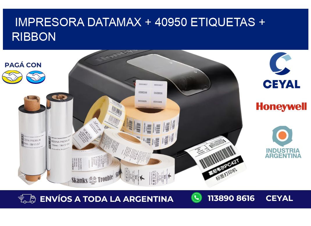 impresora DATAMAX + 40950 etiquetas + ribbon