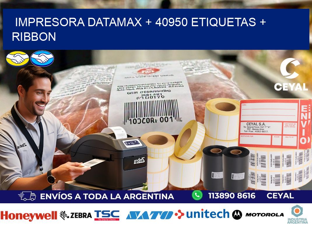 impresora DATAMAX + 40950 etiquetas + ribbon