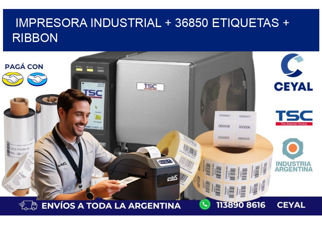 impresora industrial + 36850 etiquetas + ribbon