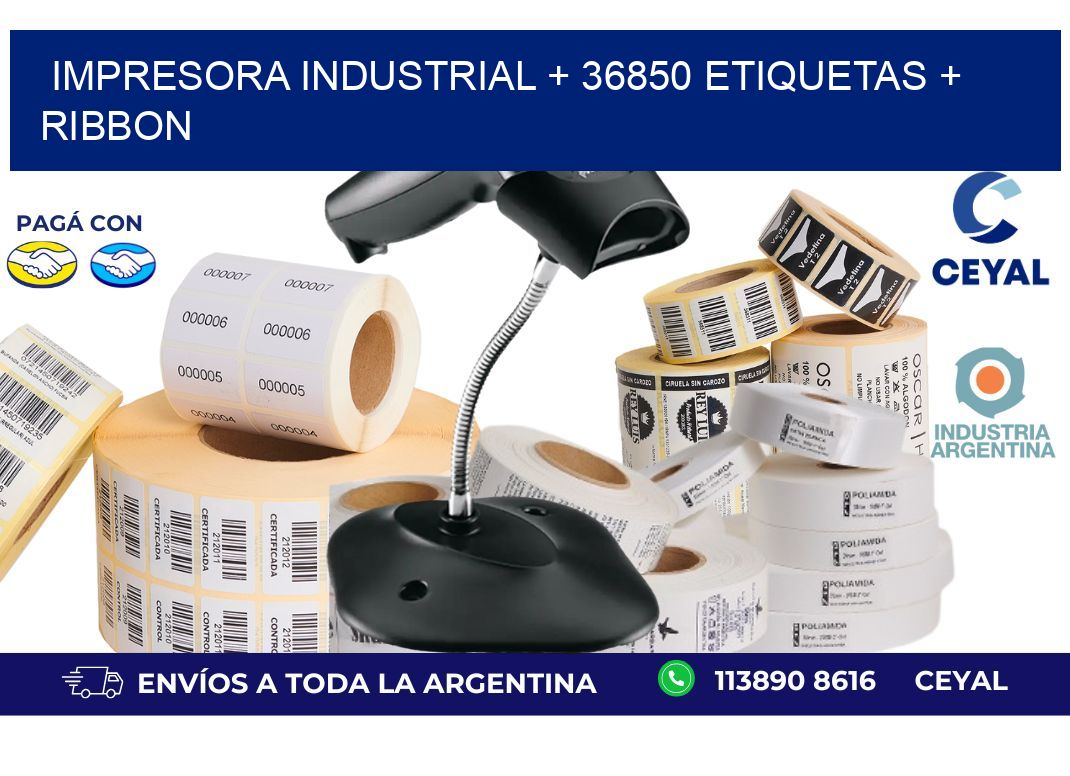impresora industrial + 36850 etiquetas + ribbon