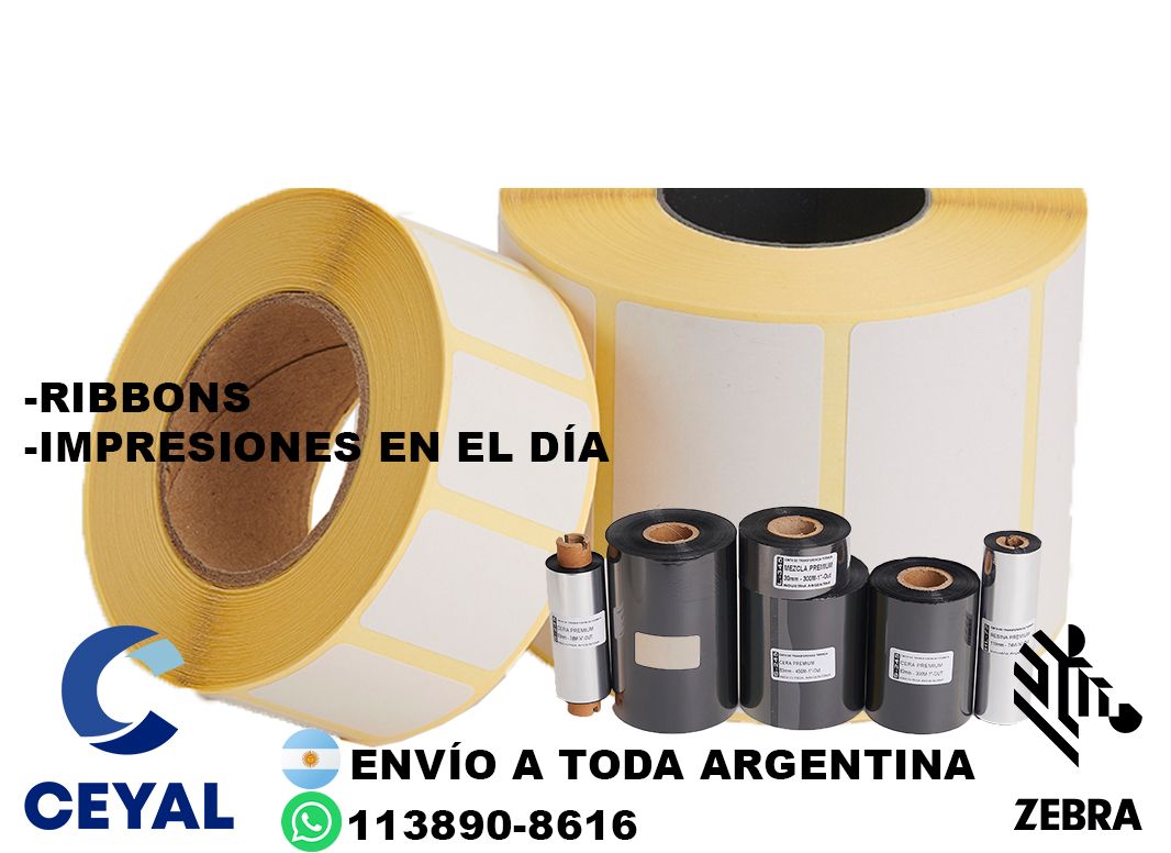 impresora industrial + 58420 etiquetas + ribbon