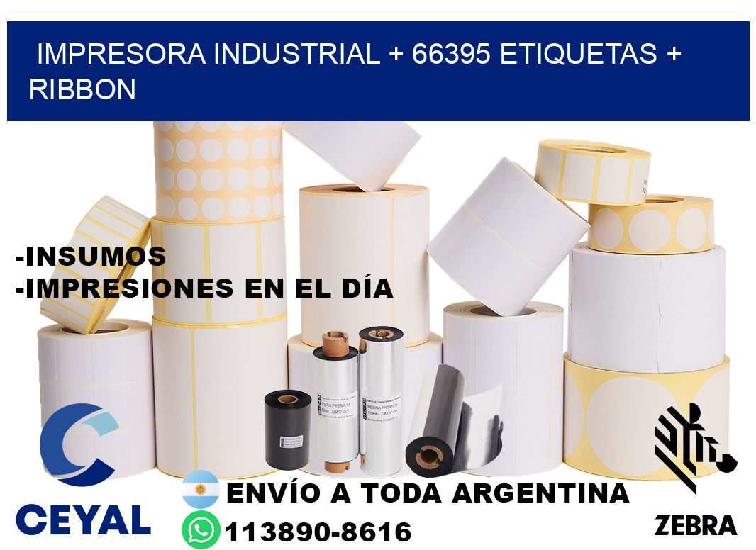 impresora industrial + 66395 etiquetas + ribbon
