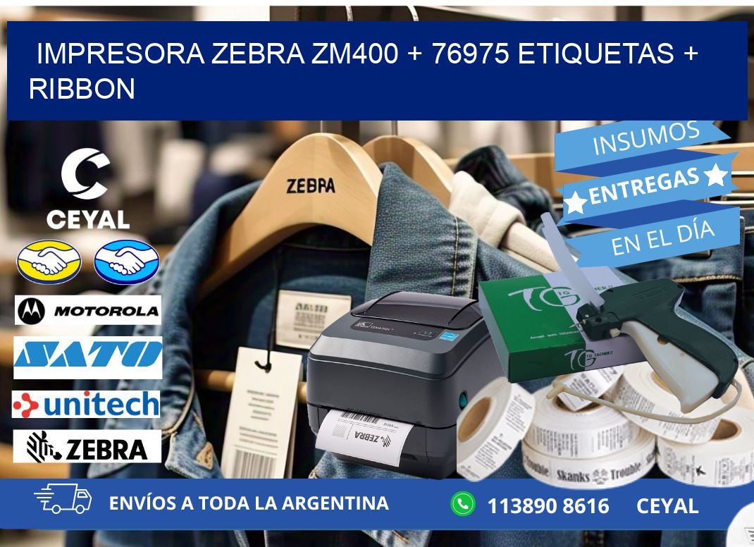 impresora zebra zm400 + 76975 etiquetas + ribbon