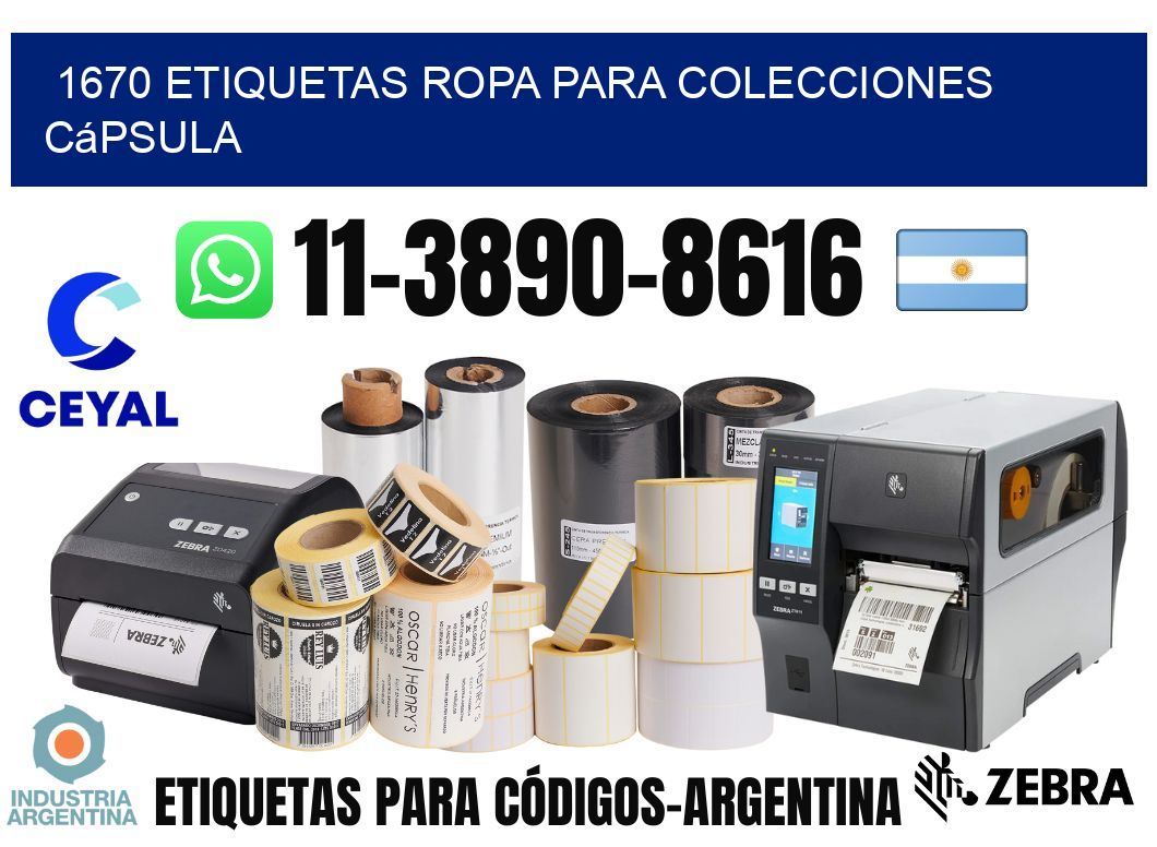 1670 Etiquetas ropa para colecciones cápsula